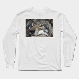 Timber Wolf - Closeup Long Sleeve T-Shirt